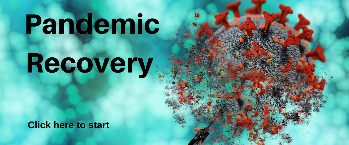 Click to go to Pandemic Recovery.